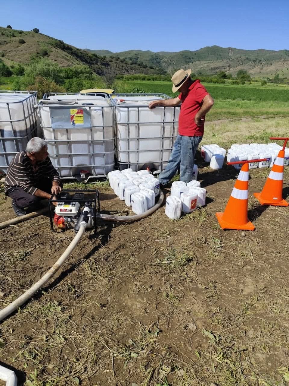 Մեկնարկել են անտառային վնասատուների և հիվանդությունների դեմ կենսաբանական պայքարի միջոցառումները. ՀՀ Շրջակա միջավայրի նախարարություն