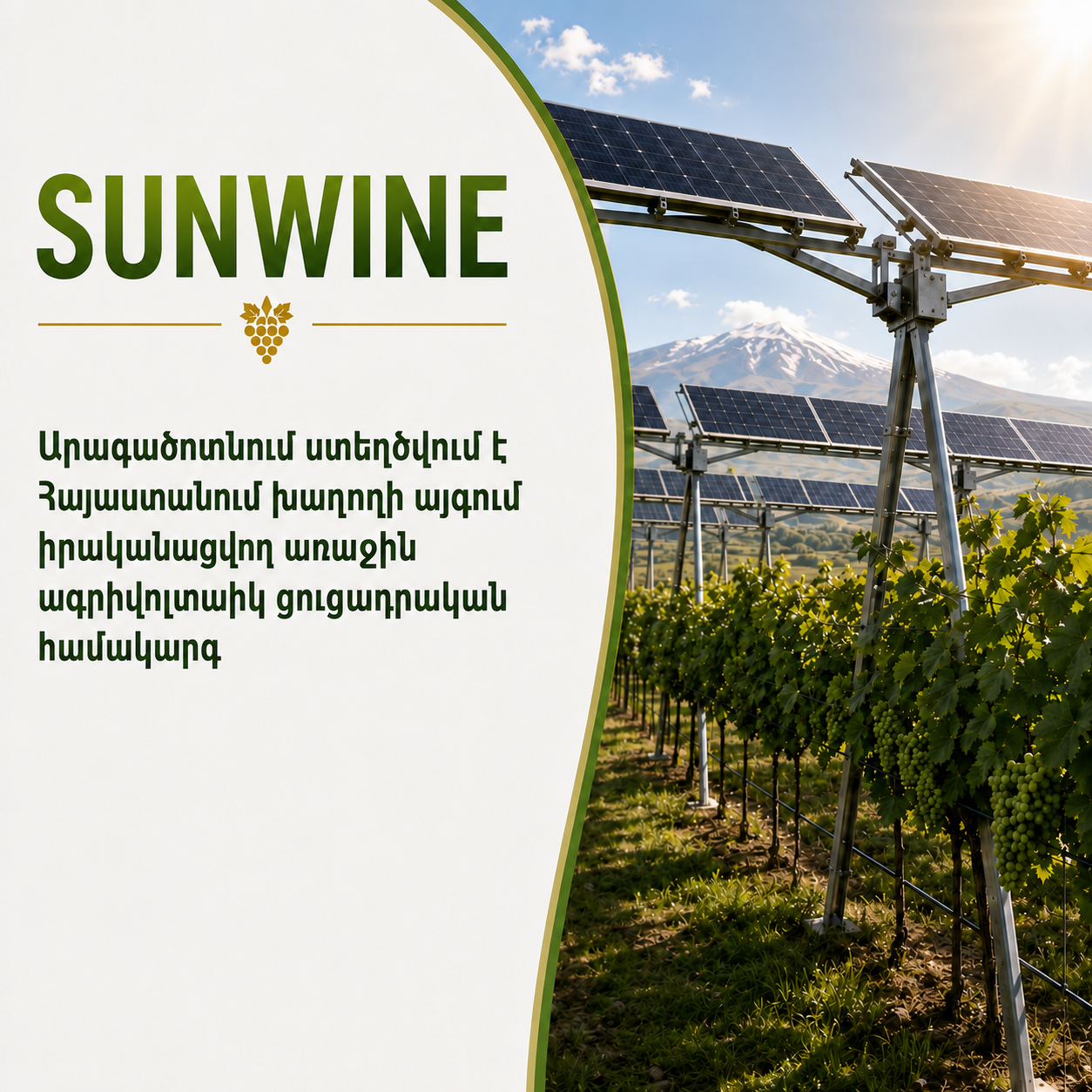 Աղձք համայնքում մեկնարկում է SUNWINE նախագիծը. Հայաստանում առաջին անգամ խաղողի այգիները կծառայեն նաև որպես արևային էլեկտրակայան