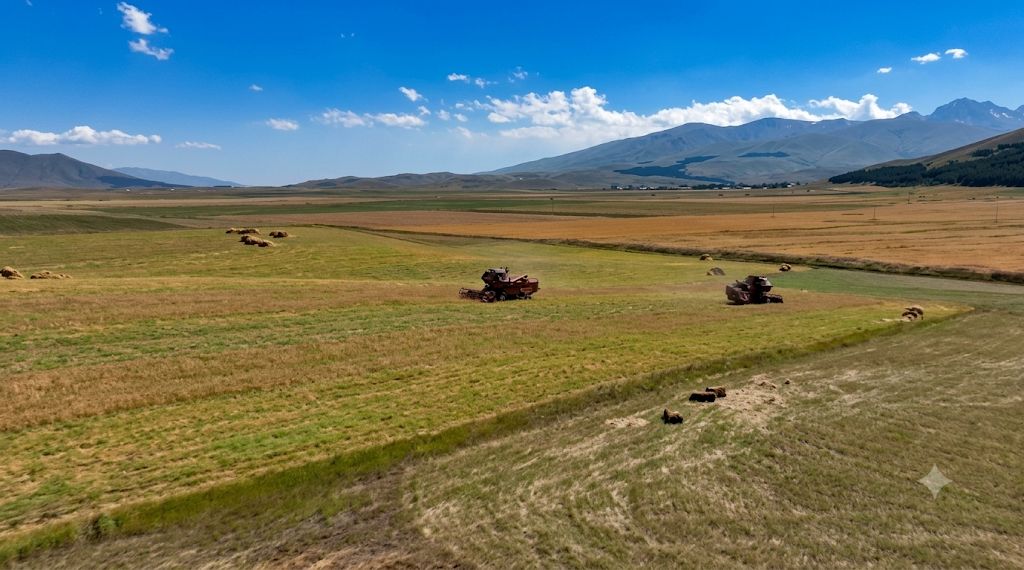 Արագածի լանջերին չկա հողատարածք, որտեղ հացահատիկ չի ցանվել, մարզում բերքն առատ է, այժմ գյուղացին այն ամբարում է. ՀՀ Արագածոտնի մարզպետի աշխատակազմ