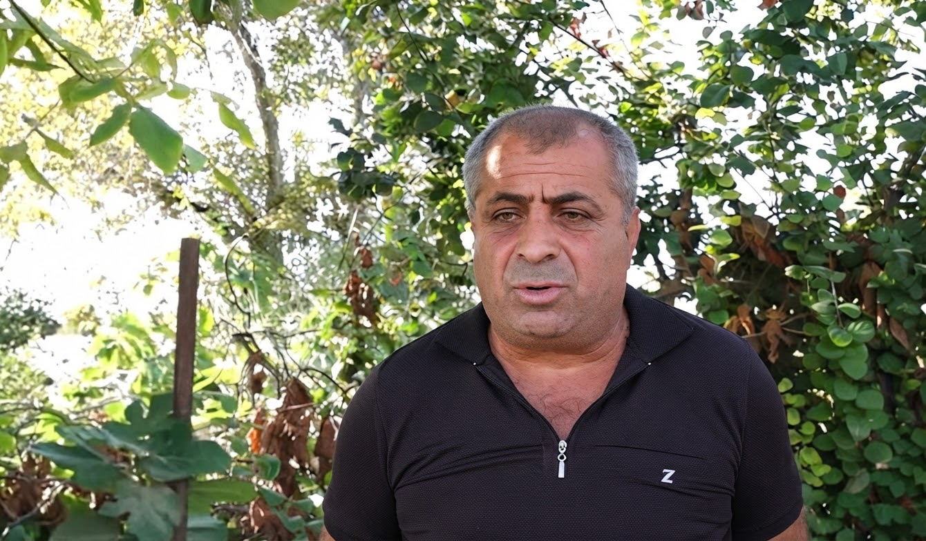 100 տոննա պոմիդոր է մնացել, չենք էլ հավաքում. գյուղացին չի կարողանում մթերել լոլիկը