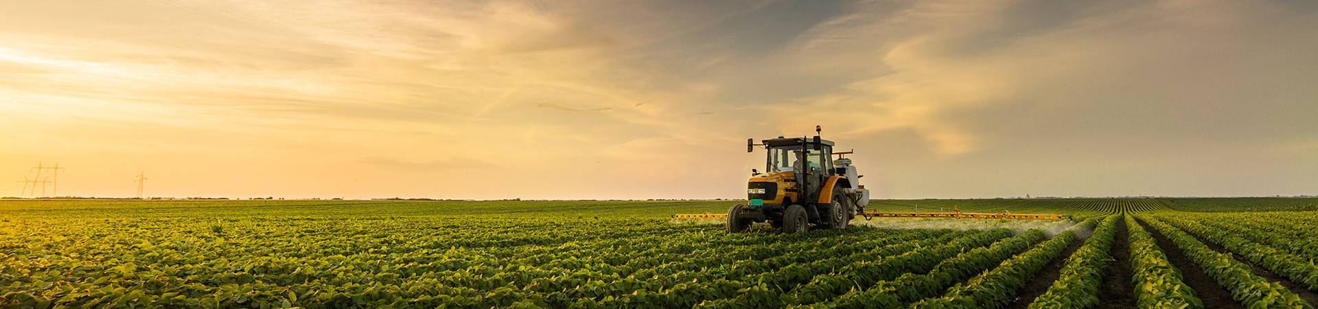 Գյուղացիներին մինչեւ 2 մլն անտոկոս վարկ կտրամադրվի. Պապոյան