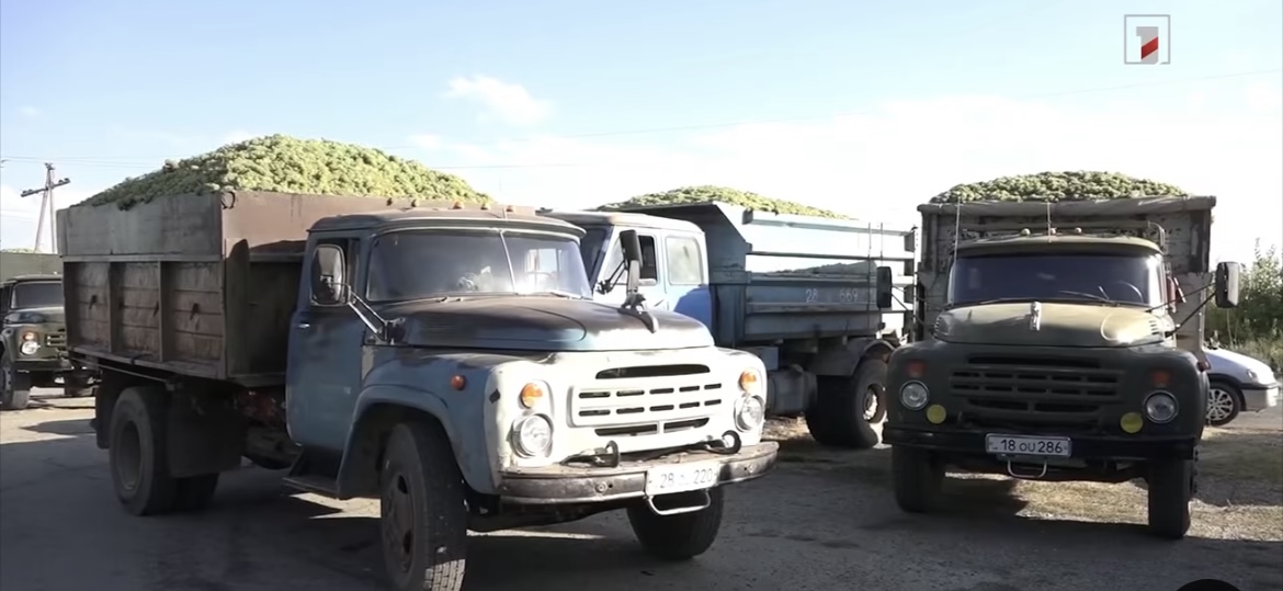 Երևանի «Արարատ» կոնյակի-գինու-օղու կոմբինատը խաղողի մթերումը մեկնարկել է Նոր Ամասիայից՝ 150 դրամով. ՀՀ Արմավիրի մարզպետի աշխատակազմ