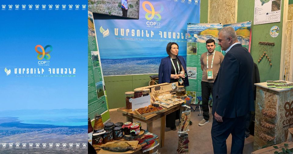 Մարտունին՝ COP17 համաժողովում