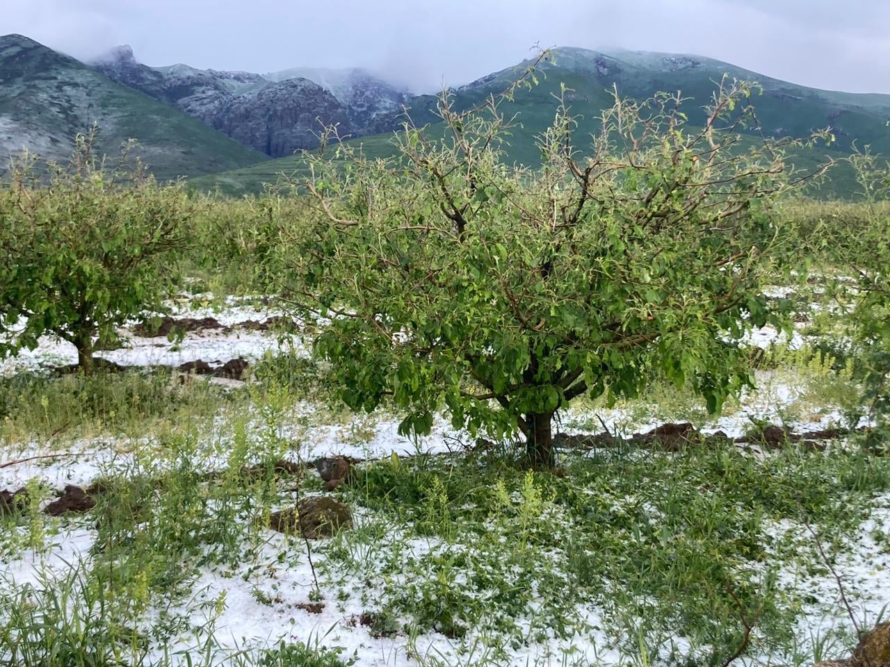 Հնարավոր է կարկուտ տեղա․ եղանակի կանխատեսում