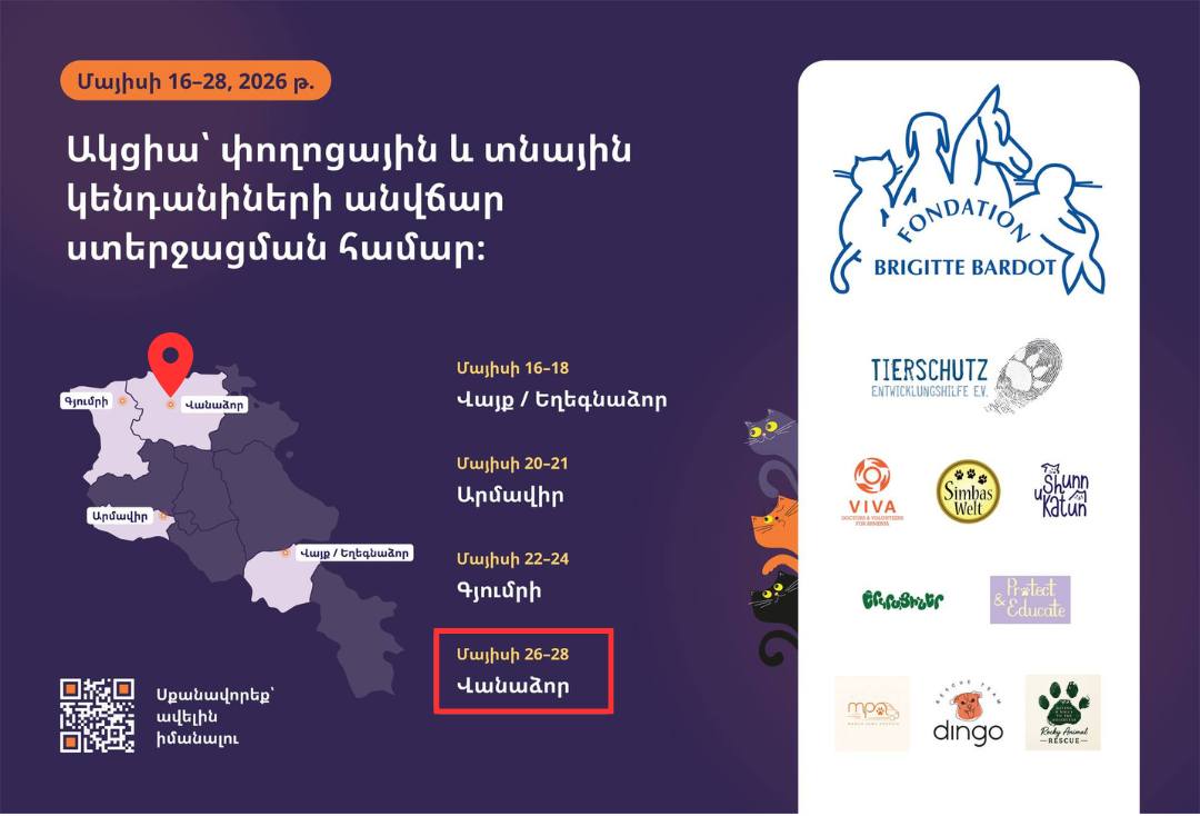 Վանաձոր քաղաքում իրականացնելու է կենդանիների զանգվածային ստերիլացման գարնանային միջազգային ծրագիր