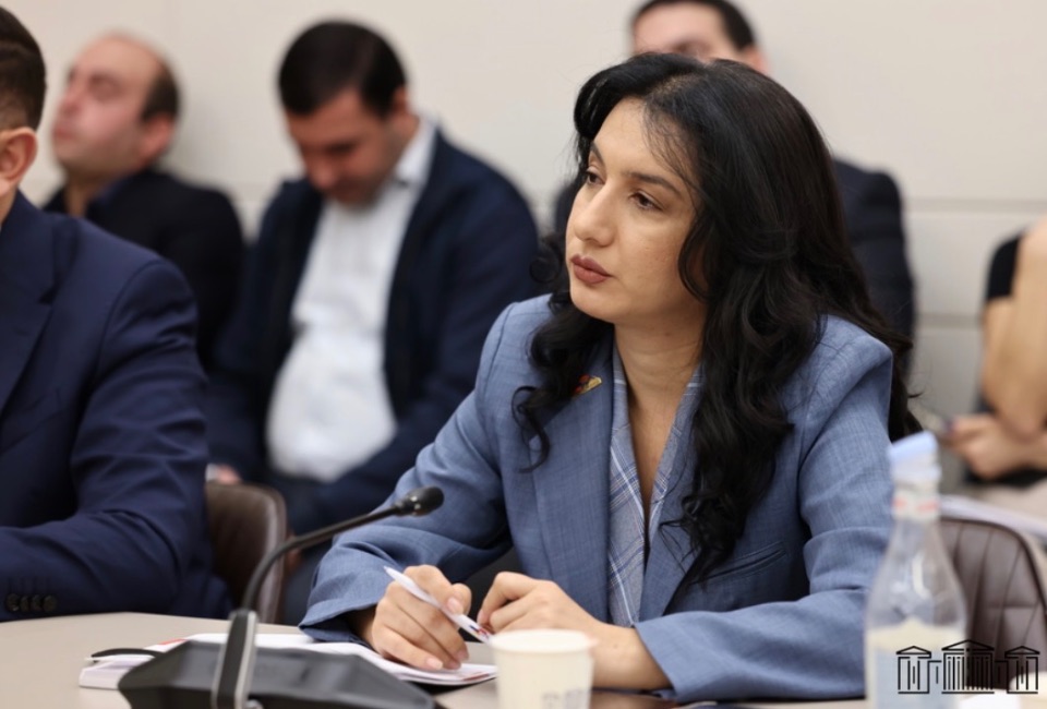 «Ինչպես ՏԻՄ, այնպես էլ համապետական ընտրություններում մենք տեսանք անփոփոխ ձեռագիր՝ քրեական գործիքակազմ, պատվիրված գործեր, վարչական ռեսուրսի անխնա կիրառում, ըստ էության, ահաբեկման մթնոլորտ». Մարիաննա Ղահրամանյան
