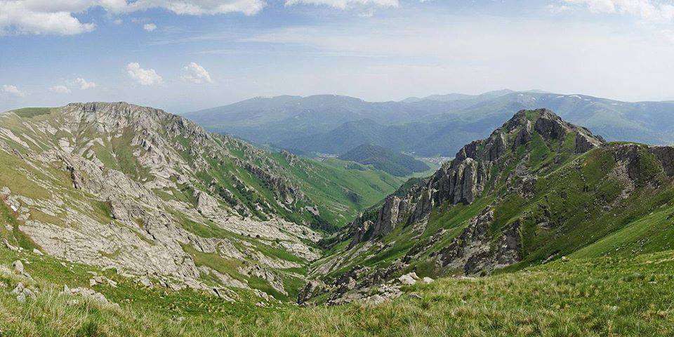 Ռելիկտային կրկես Քյորօղլի լեռան մոտ. Կոտայքի մարզի թաքնված կենսաբանական հուշարձանը