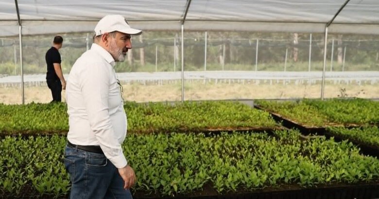 Ինչպես է իշխանությունը հերթական անգամ լքում գյուղացուն տնտեսական քաոսի նախաշեմին. «Փաստ»