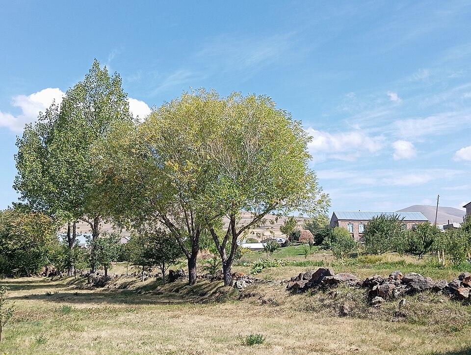 Բացահայտիր Շիրակը-Գեղանիստ