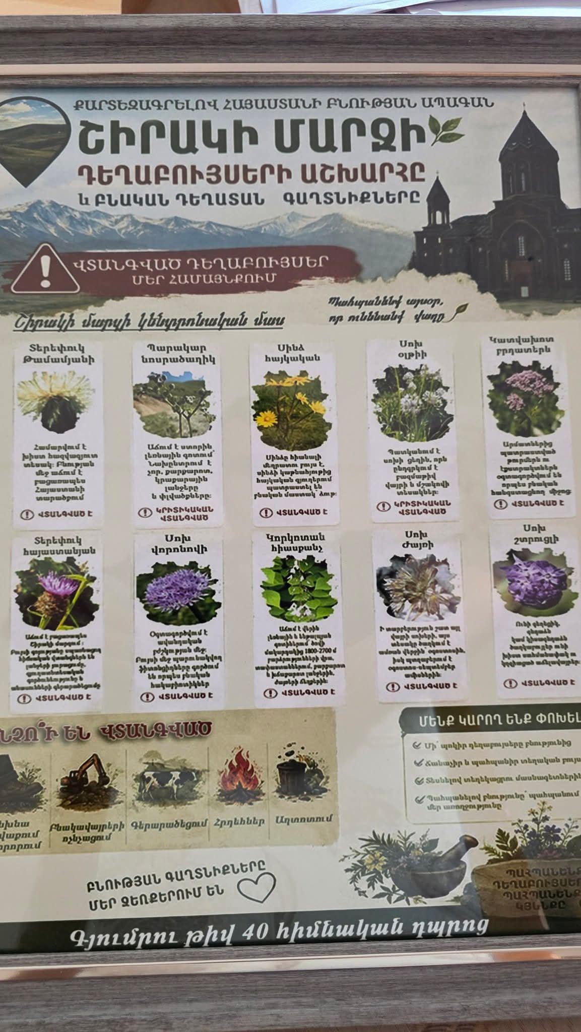 Գյումրիի թիվ 40 դպրոցի աշակերտները ուսումնասիրել են Ամասիայի դեղաբույսերն ու բուսականությունը. Ամասիա համայնք