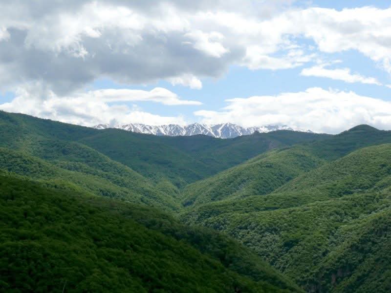 Բացահայտիր Սյունիքը - «Շիկահող» պետական արգելոց