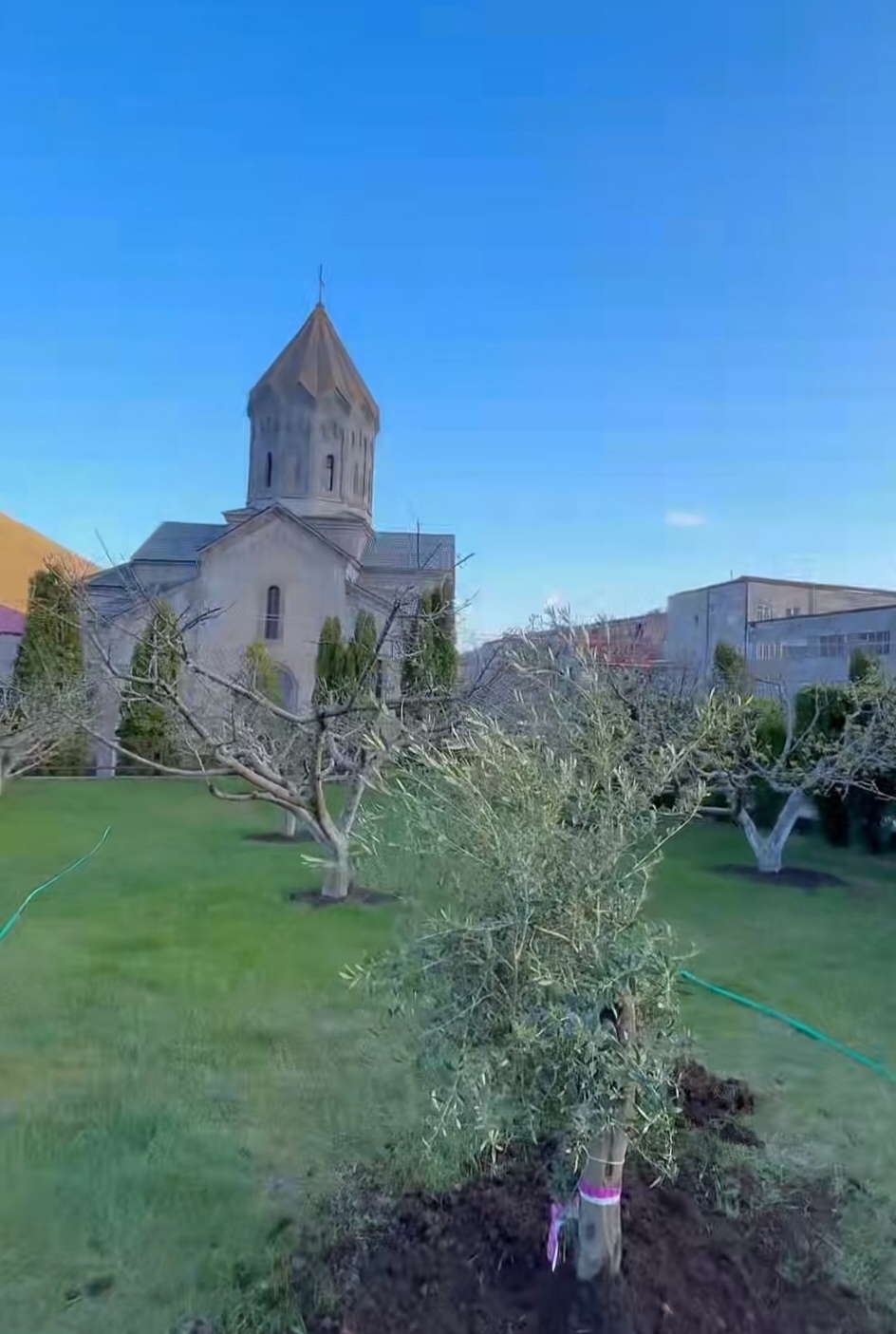 «Վարդերի բլուր» նախաձեռնությունը՝ Մարիամ Սուքիասյանի մասնակցությամբ. Գորիսի համայնքապետարան