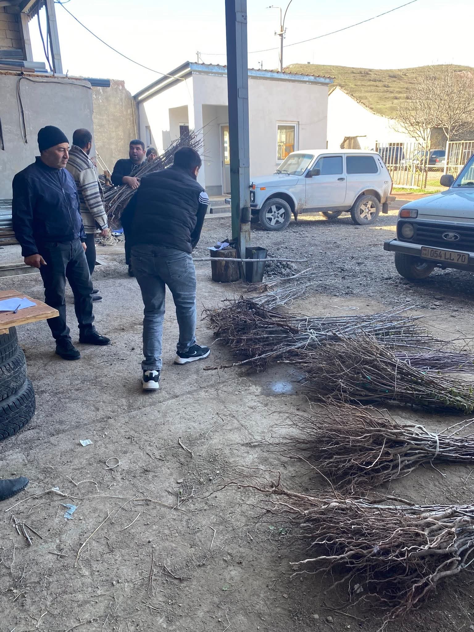 Տաթևում բնակիչներին տրամադրվել են պտղատու տնկիներ. Տաթևի համայնքապետարան
