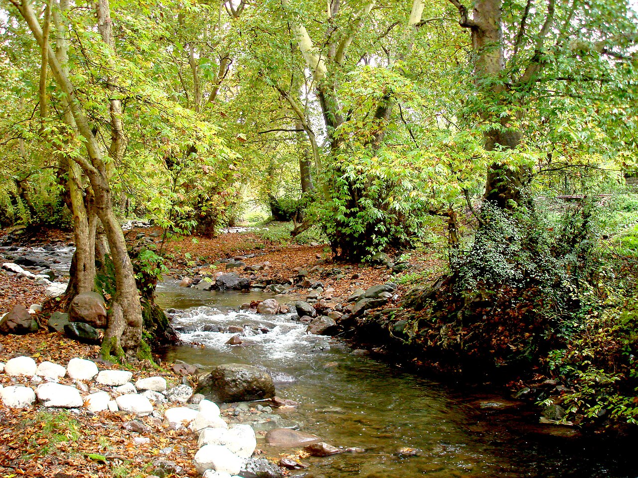 Բացահայտիր Սյունիքը-«Սոսու պուրակ» արգելավայր