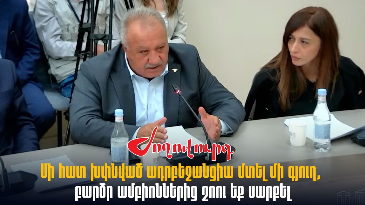 ՏԵՍԱՆՅՈՒԹ․ Մի հատ խփնված ադրբեջանցիա մտել մի գյուղ, բարձր ամբիոններից շուո եք սարքել․ Սասուն Միքայելյան