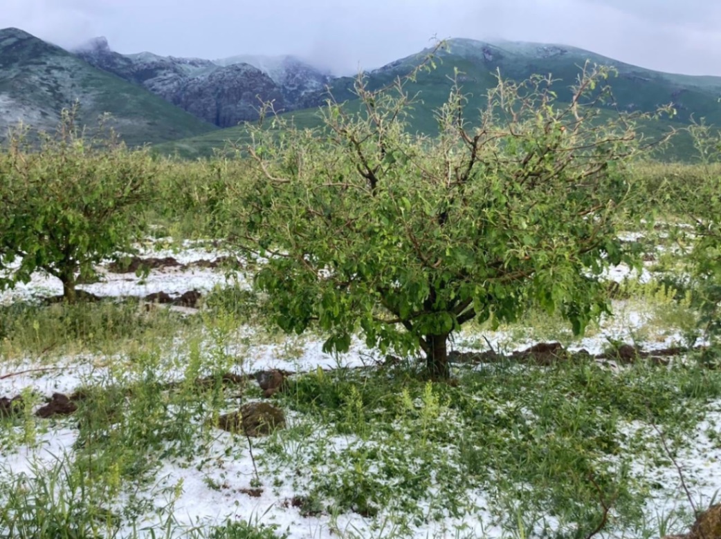 Հնարավոր է կարկուտ տեղա․ եղանակի կանխատեսում