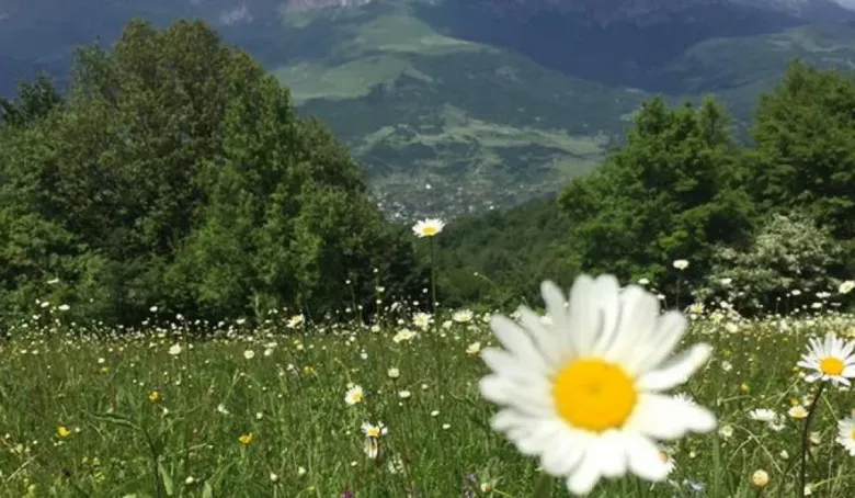 Օդի ջերմաստիճանը հունիսի 4-5-ին աստիճանաբար կբարձրանա 2-4 աստիճանով