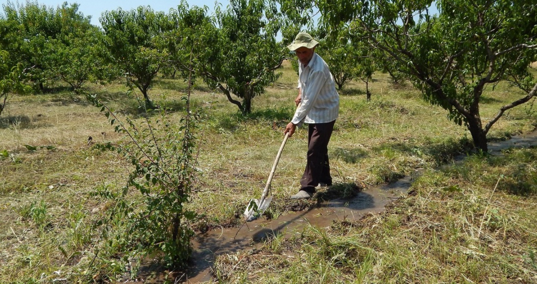 «Հրապարակ»․ Հողագործությունը գյուղացիների համար կայուն եկամտի աղբյուր չէ, մարզերը դատարկվում են